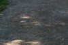 2017-08-21 Eclipse 133